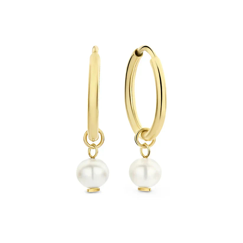 Karel | Delia Crest Gold Earrings