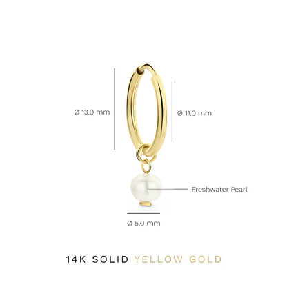 Karel | Delia Crest Gold Earrings